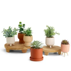 Plantes Artificielles^CASA CERA Plante Artificielle Diverses Couleurs