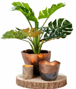 Bougies^CASA FINA Bougies Set De 12 Ivoire