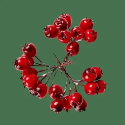 Branches Artificielles^CASA FOAM Déco églantier Rouge