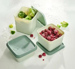 Boîtes De Conservation^CASA FREEZER Boîtes Congélation Set De 10 Menthe, Vert Foncé