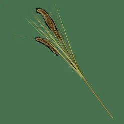 Branches Artificielles^CASA GRASS Hampe De Roseau Vert