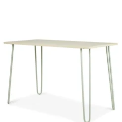 Bureaux^CASA JONAS Bureau Vert Clair