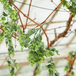 Vases|Automne^CASA JULIA Vase Vert