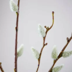 Vases|Automne^CASA JULIA Vase Vert