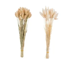 Fleurs Artificielles^CASA LAGURUS Lagure Ovale Beige