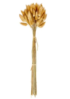 Fleurs Artificielles^CASA LAGURUS Lagure Ovale Brun