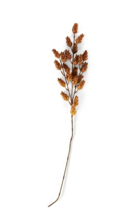 Vases^CASA LINDE Vase Brun Clair