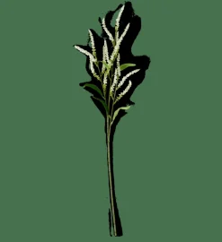 Branches Artificielles^CASA OPHIO Branche Blanc