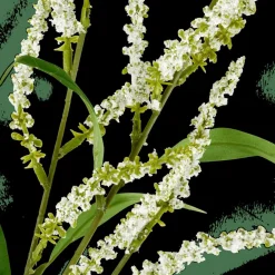 Branches Artificielles^CASA OPHIO Branche Blanc