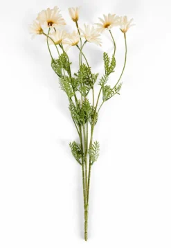 Vases^CASA PAMPLONA Vase Crème