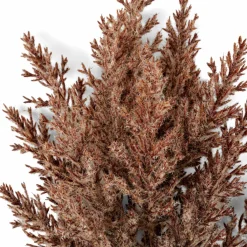 Branches Artificielles^CASA PLUME Plumes Décoratives Brun Clair