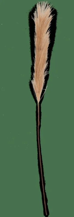 Branches Artificielles^CASA PLUME Plumes Décoratives Brun