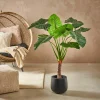 Plantes Artificielles^CASA TARO Plante Artificielle Arum Vert