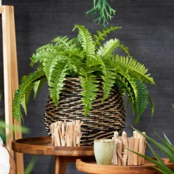 Supports Pour Plantes^CASA TEAK Support Naturel