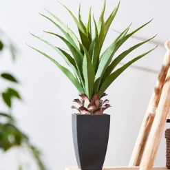 Branches Artificielles^CASA VERA Plante Grasse Sur Tige Vert